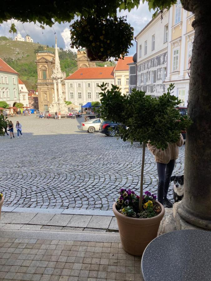Guesthouse Mikulas Mikulov - Free Parking In The City Center Екстер'єр фото