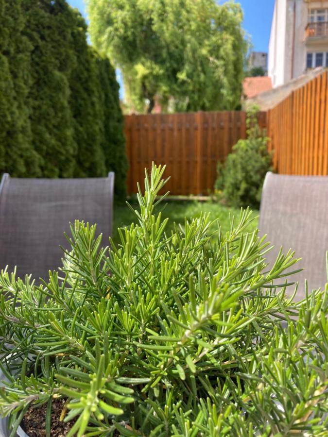 Guesthouse Mikulas Mikulov - Free Parking In The City Center Екстер'єр фото