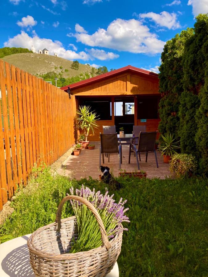 Guesthouse Mikulas Mikulov - Free Parking In The City Center Екстер'єр фото