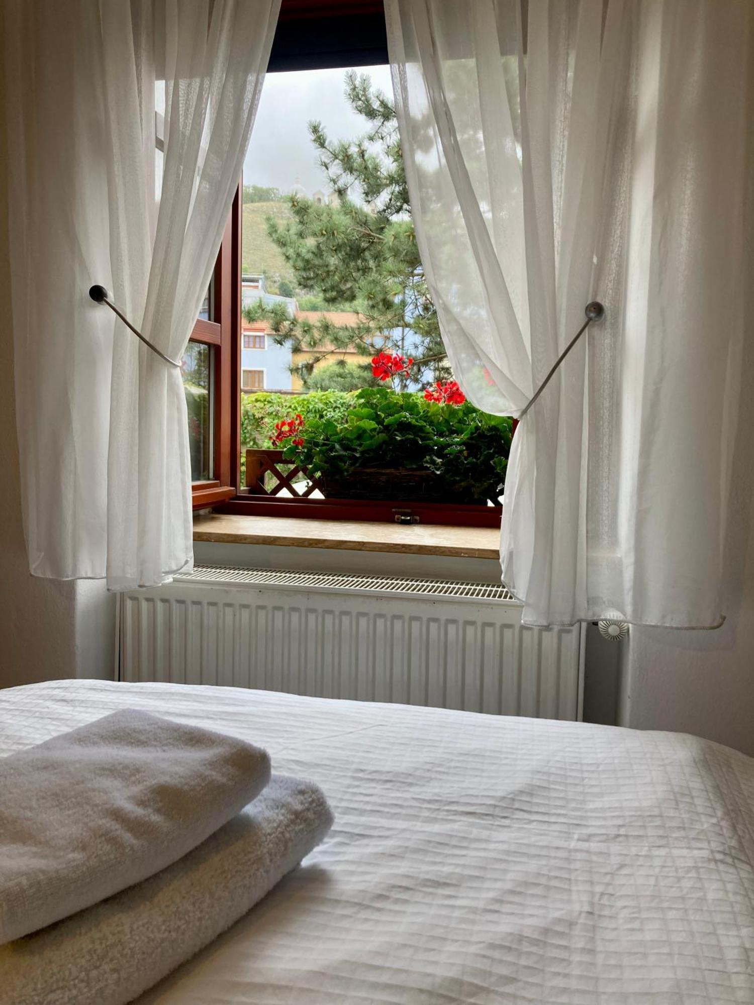 Guesthouse Mikulas Mikulov - Free Parking In The City Center Екстер'єр фото
